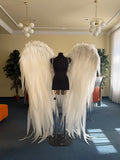Folded wings