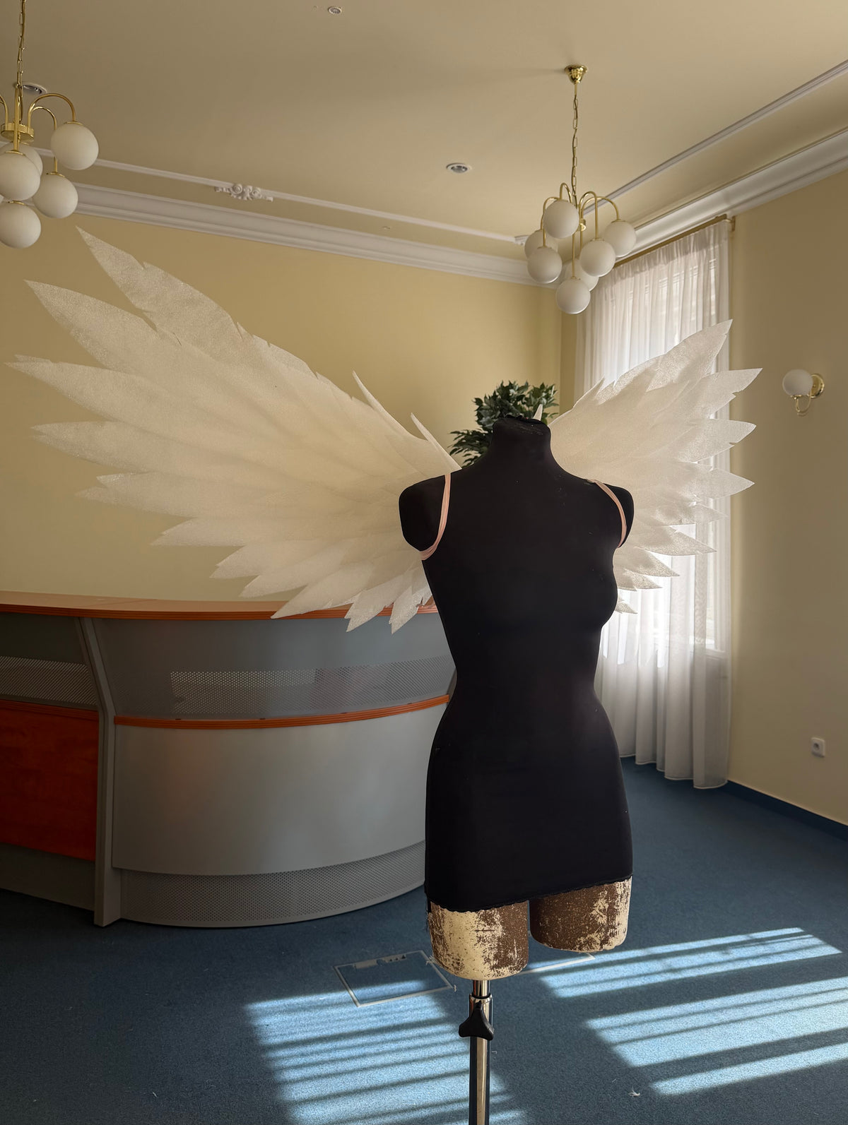 Small wings