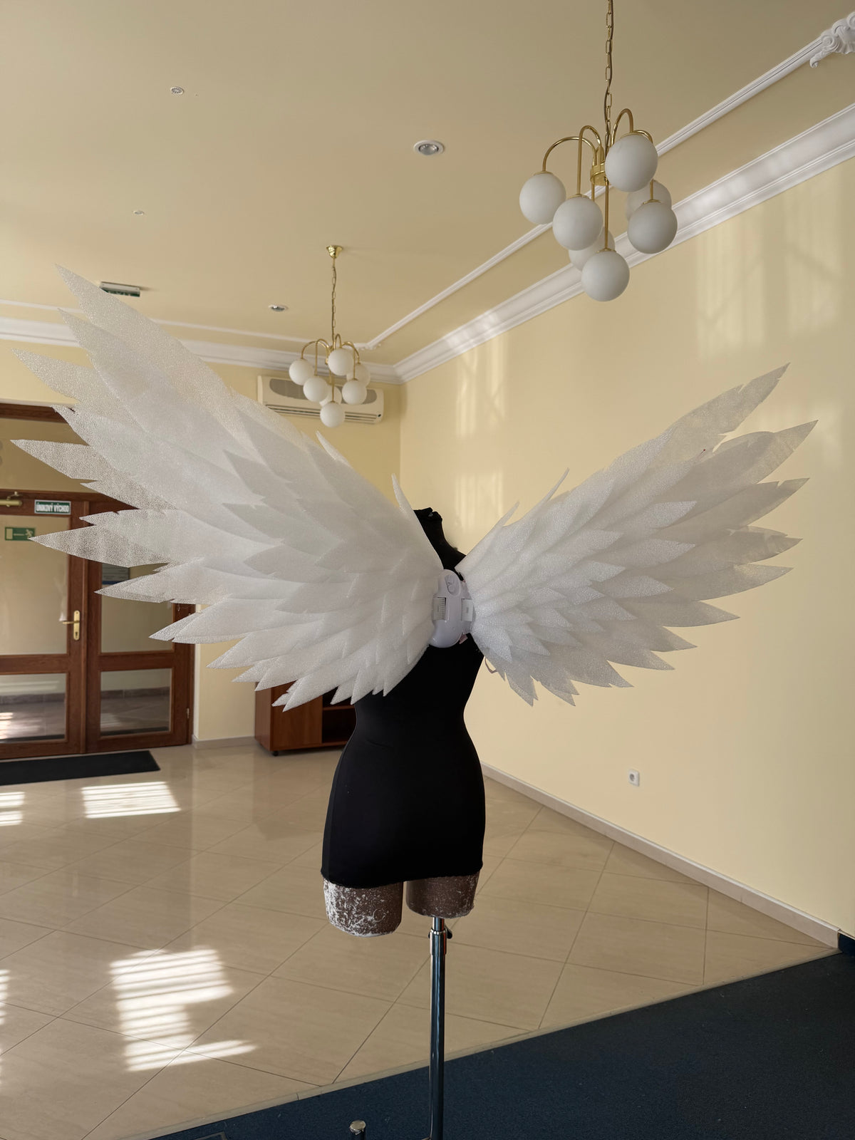 Small wings