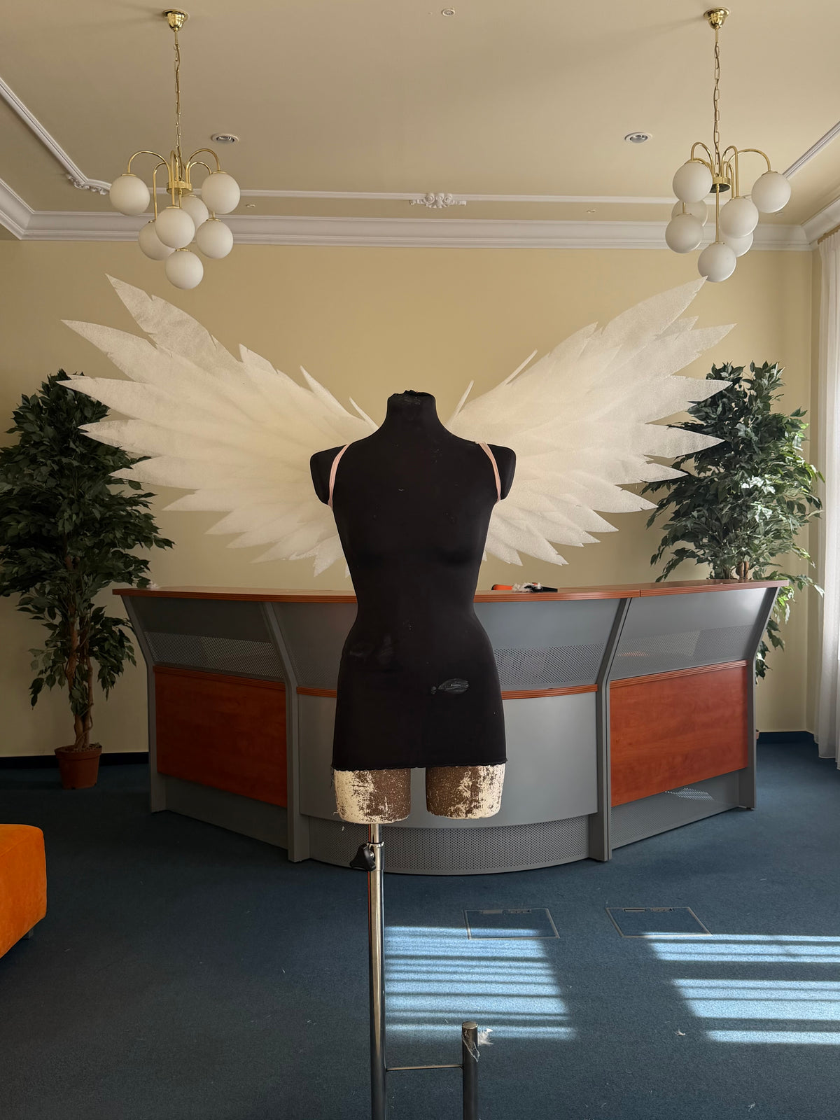 Small wings